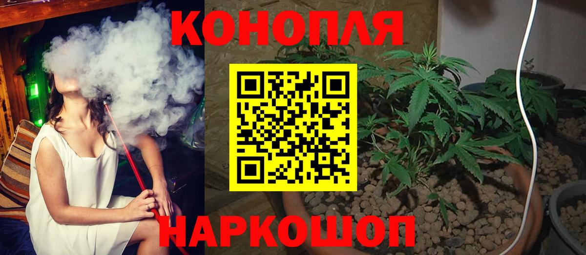 Каннабис конопля Краснознаменск